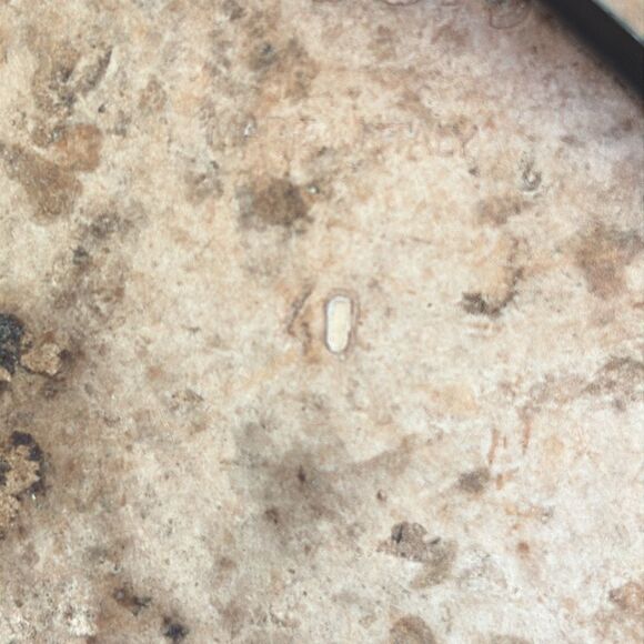 Theory Flat leather sandals - Picture 8 of 8